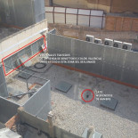 Benetton y los gatos muertos