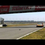 La ardilla con más suerte del mundo