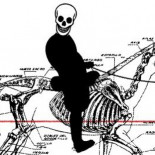 ¿Franquismo o fascismo?