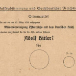 Referéndum algo tendencioso en la Alemania nazi