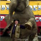 Perú prohíbe el uso de animales salvajes en los circos