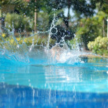 El corte de digestión: A fondo