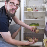 "No podemos estar todos chupando del bote"