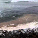 Así se cuida la costa