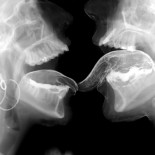 Fusión de ciencia y pornografía [NSFW]