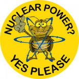 Por qué es tan difícil matar una cucaracha