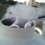 Cierran una carretera en Nashville por un derrame de semen de toro