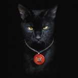 Gana 43 millones de euros en un casino de Austria y éste se niega a abonar el premio alegando fallo de software