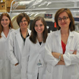 Una geobacteria que genera electricidad mientras limpia los residuos nucleares  [EN]