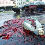 Cadáveres explosivos