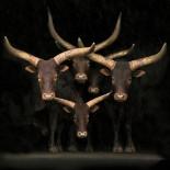 Hay un animal dentro de mí