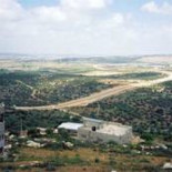 Agricultores palestinos necesitan urgentemente el permiso de Israel para recoger la aceituna