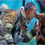 Una doberman agradecida a un bombero