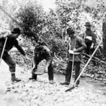 Lucky Strike: De cómo una marca femenina se convirtió en un icono de su nación