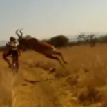 Una razón para no hacer Mountain Bike en Sudáfrica