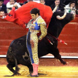 El Ministerio de Cultura crea el Premio Nacional de Tauromaquia