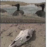 La isla de Renacimiento: un lugar que oculta un generador de muerte bajo tierra