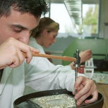 La CEOE propone recuperar al aprendiz que cobre por debajo del salario mínimo