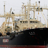 Japón destina 29 millones de dólares del fondo del tsunami para revivir su industria ballenera (En)