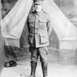 Los gatos de la guerra (ENG)