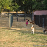 La desafortunada actuación de Beatriz de Orleans