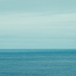 La regulación de las drogas: una salida de la crisis