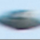 La mejor foto de un OVNI en UK es un pájaro