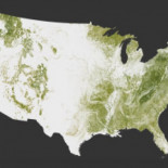 NASA muestra un mapa con los árboles de Estados Unidos (ING)