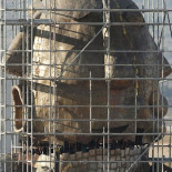 La Comunidad Valenciana, una tierra de saqueo