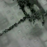 'Me dio su chaleco salvavidas y murió'