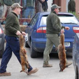 Campeonato gallego de matar zorros 2012 - vergonzoso