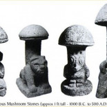 Los hongos alucinógenos pueden levantar los filtros del cerebro que limitan la percepción de la realidad. (eng)