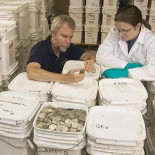 España gana el caso Odyssey: las monedas regresarán en 10 días