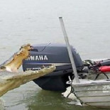 Por qué las personas sanas son una puñetera ruina