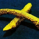 Una galería debe indemnizar con 22.000 € a un autor por destruir dos patatas fritas artísticas