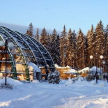 Monos de un zoológico ruso aprenden a lavar cristales y recoger basura imitando al servicio de personal