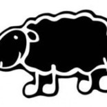 Los vascos muestran patrones genéticos únicos en 7.000 años