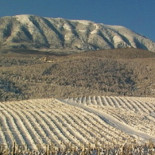 Grecia: en Tesalónica comienzan a organizarse al margen del Estado