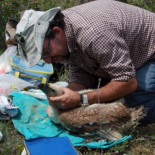 El CSIC sospecha que un científico falso firmó en seis de sus estudios