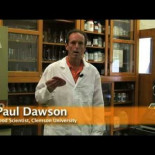 ¿Se puede comer la comida que se ha caído al suelo?