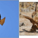 El “caso Lemus” destapado por El País salpica al CSIC