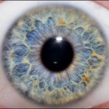 La Policía de Nueva York escanea el iris de los detenidos del movimiento #Occupy a cambio de libertad bajo fianza [ENG]