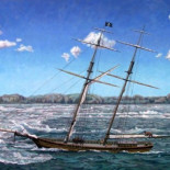 Una nefasta idea de promoción: tirar por las cataratas del Niágara un barco lleno de animales