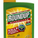 Herbicida de Monsanto puede provocar cambios morfológicos en animales vertebrados [EN]