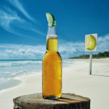 La degradación fotoquímica de la cerveza o por qué algunas se sirven con rodajita de limón