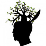 La geometría de Dios: Los patrones caleidoscópicos de techos de catedrales en Europa