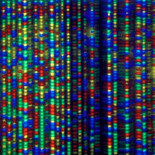 Científicos anuncian AXN, la creación de ADN sintético