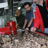 Los científicos confirman la existencia en el Cañón de Avilés de uno de los mayores arrecifes de coral de Europa