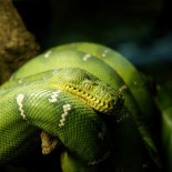 Seis consejos que me hubiese gustado recibir cuando empecé en la fotografía