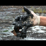 Imágenes de las "hazañas" de Repsol que RTVE jamás emitirá